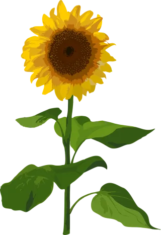 Sunflower Flower Summer Stickdatei