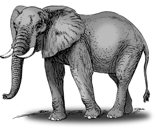 Elephant Animal Mammal Stickdatei – Tiere