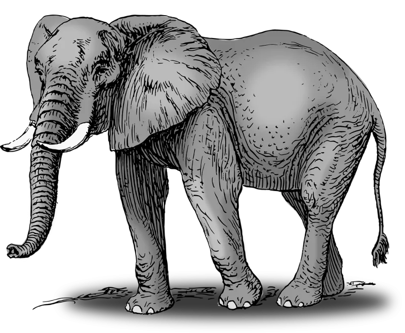Elephant Animal Mammal Stickdatei – Tiere