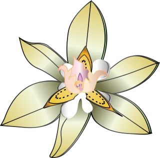 Flower Flower wallpaper Nature Stickdatei