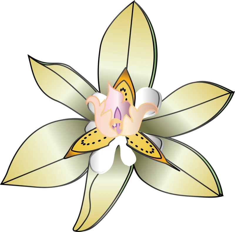 Flower Flower wallpaper Nature Stickdatei – Blumen