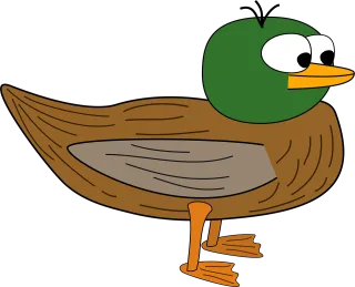 Eyes Large Duck Stickdatei
