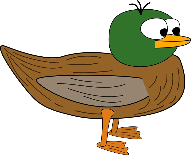 Eyes Large Duck Stickdatei – Natur