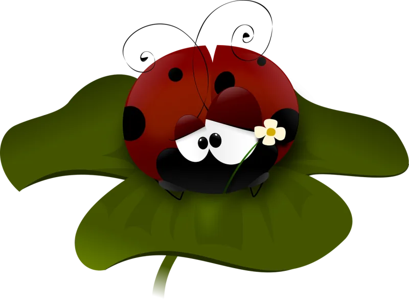 Ladybug Flower wallpaper Nature Stickdatei – Tiere