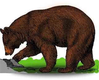 Brown Bear Wildlife Stickdatei