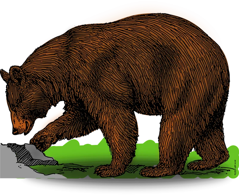 Brown Bear Wildlife Stickdatei – Tiere