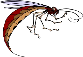 Insect Body Wings Stickdatei – Tiere