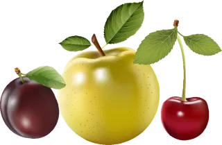 Fruit Berries Plum Stickdatei