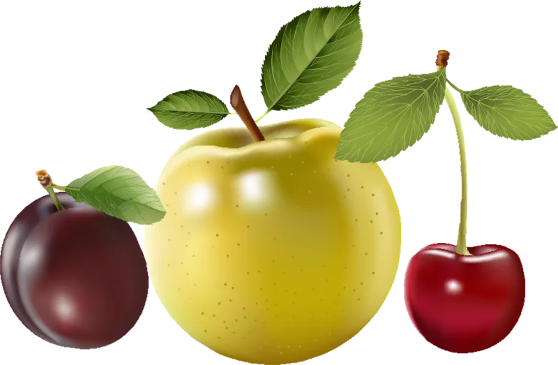 Fruit Berries Plum Stickdatei – Essen & Trinken