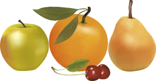 Fruit Apple Orange Stickdatei