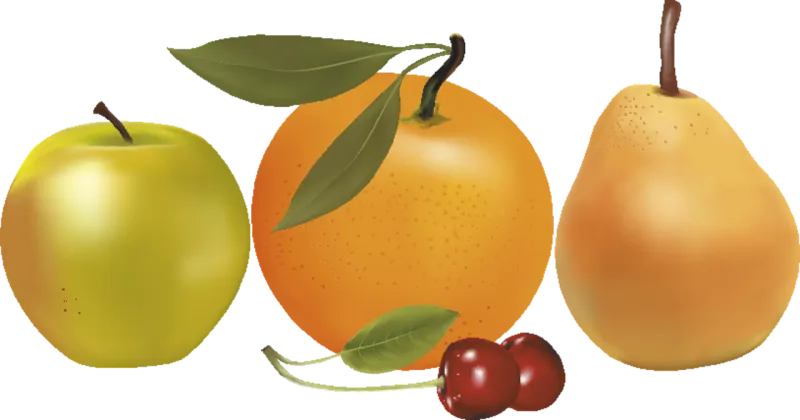Fruit Apple Orange Stickdatei – Essen & Trinken