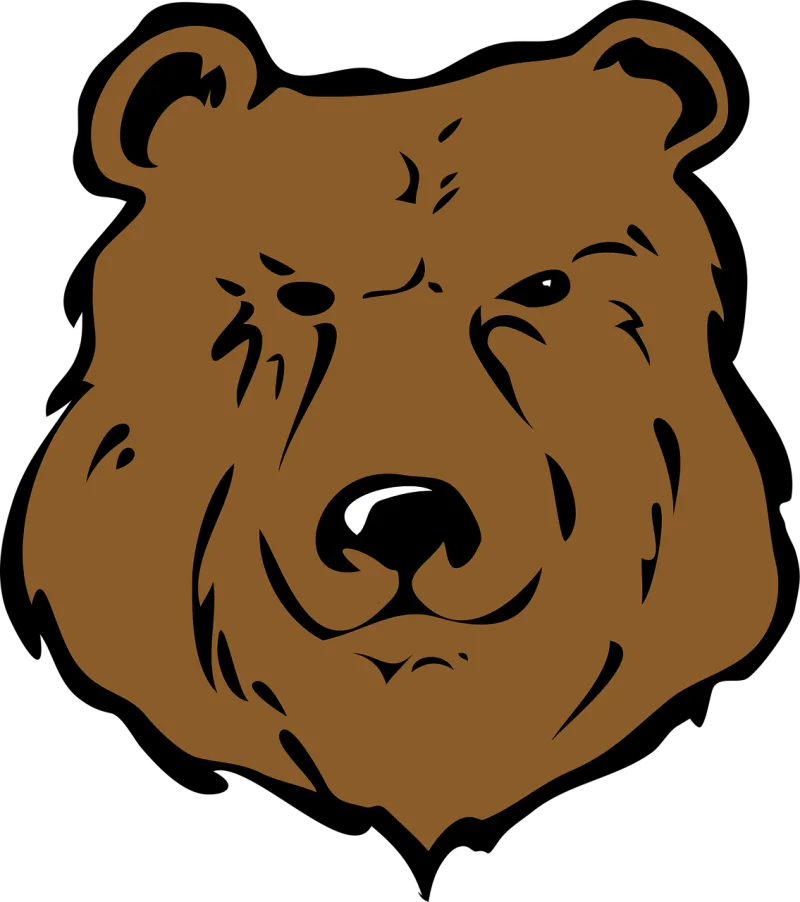 Bear Head Brown Stickdatei – Tiere
