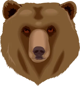Bear Nature Face Stickdatei