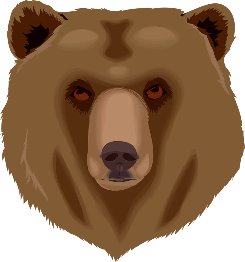 Bear Nature Face Stickdatei – Tiere