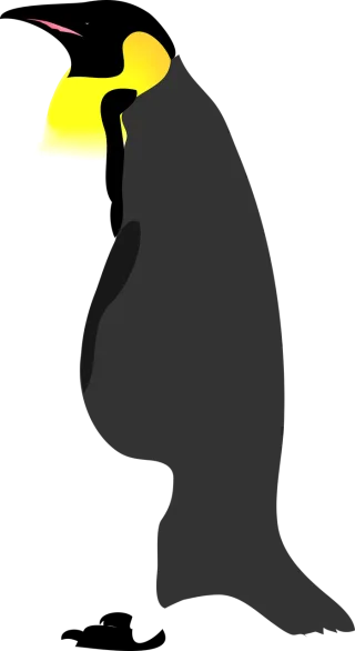 Penguin Bird Snow Stickdatei