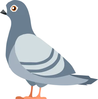Pigeon Nature Bird Stickdatei