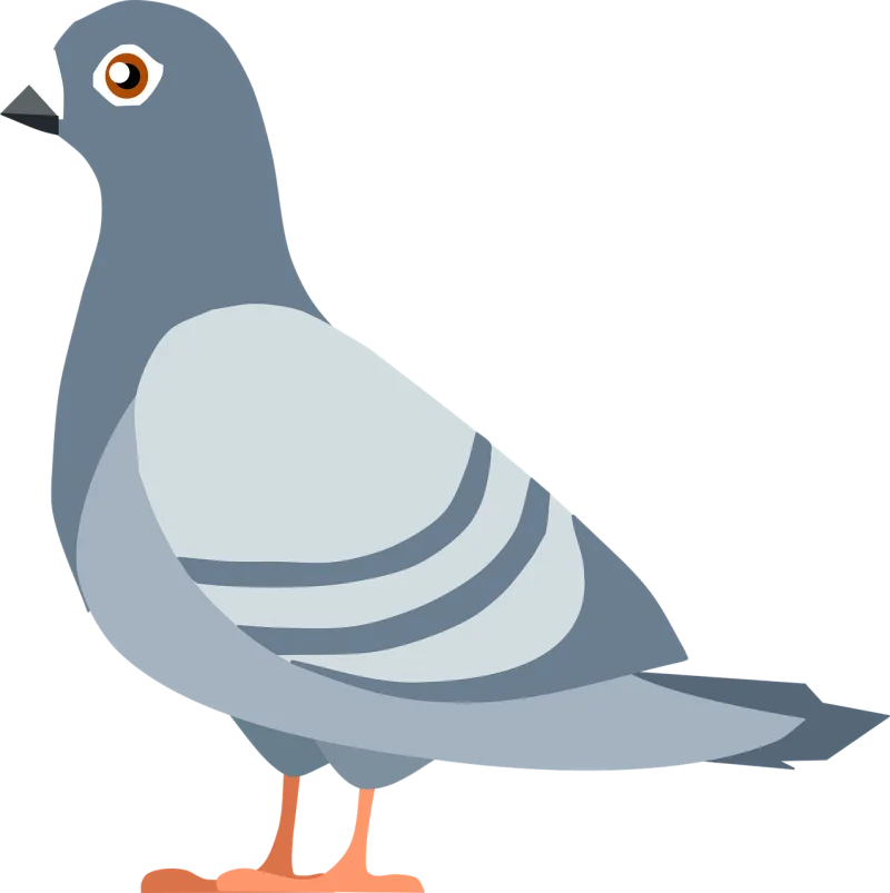 Pigeon Nature Bird Stickdatei – Natur