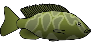 Fish Tropical Nature Stickdatei