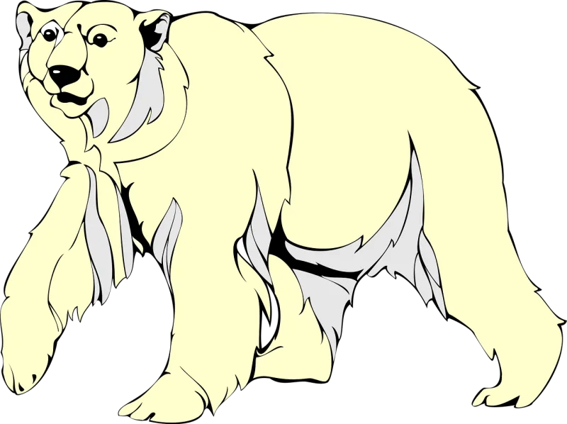 White Arctic Bear Stickdatei – Tiere