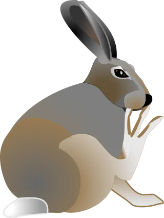 Rabbit Pet Animal Stickdatei