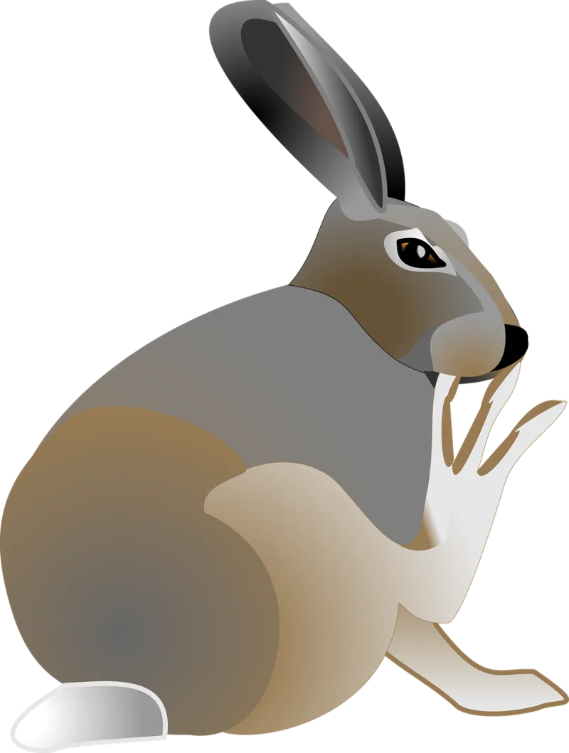 Rabbit Pet Animal Stickdatei – Tiere