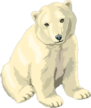Polar Bear Nature Stickdatei