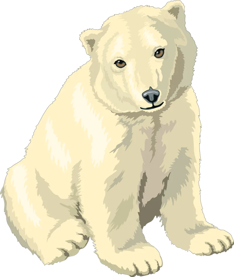 Polar Bear Nature Stickdatei – Tiere