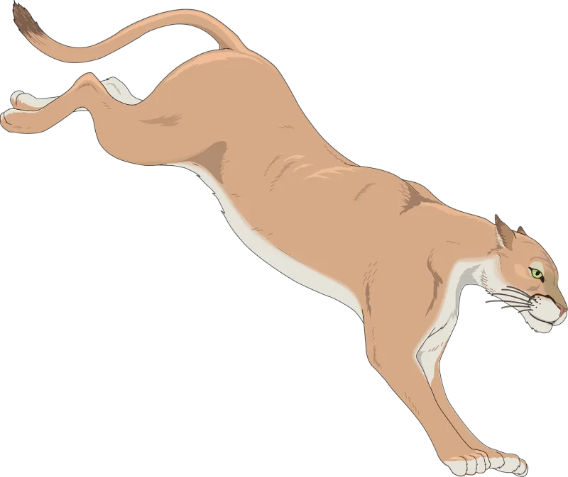 Cougar Mountain Lion Stickdatei – Tiere