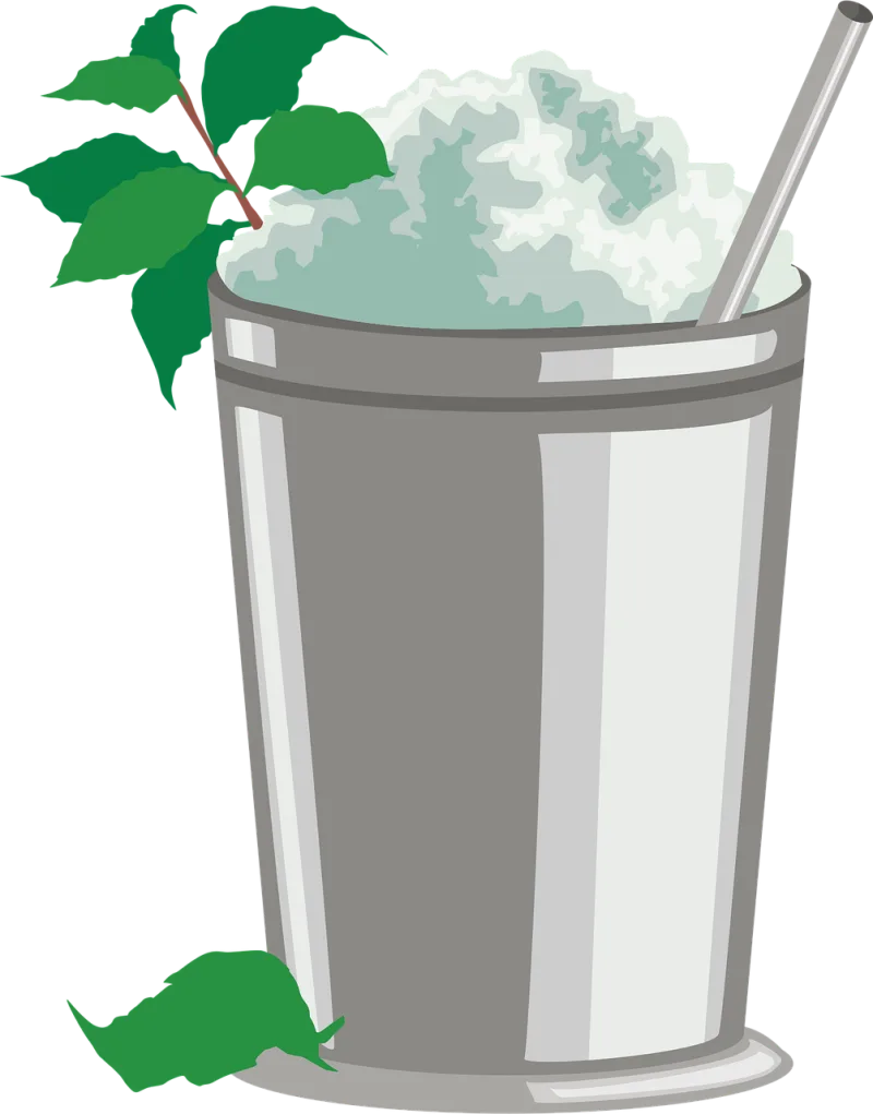 Mint Mint julep Drink Stickdatei – Kinder