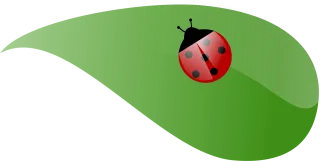 Ladybug Green Leaf Stickdatei