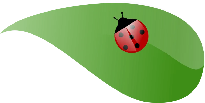 Ladybug Green Leaf Stickdatei – Tiere