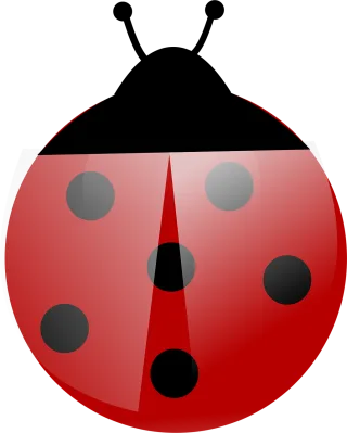 Ladybug Insect Beetle Stickdatei