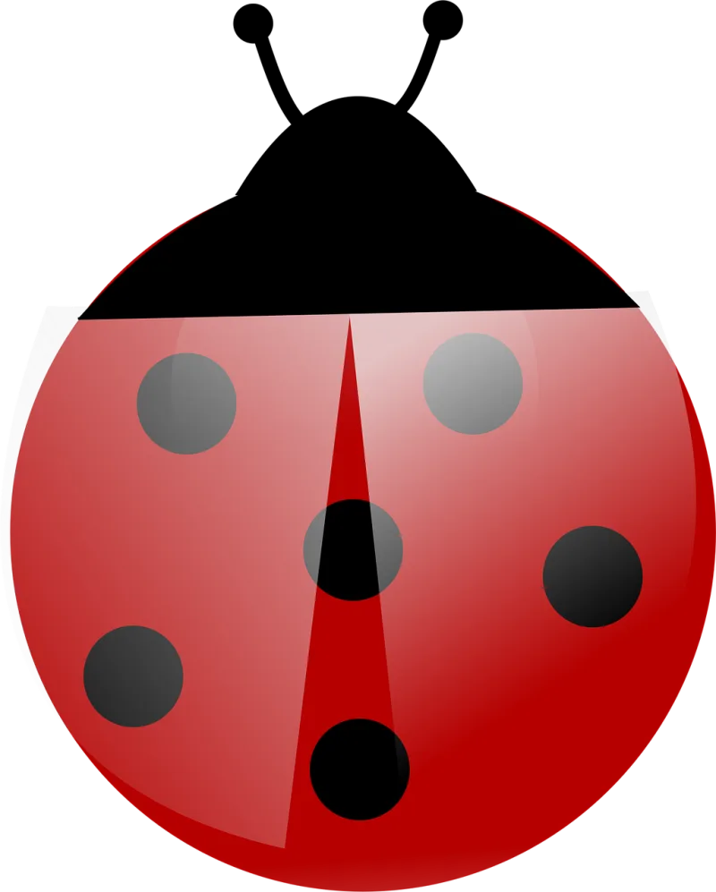 Ladybug Insect Beetle Stickdatei – Tiere