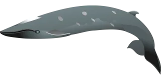 Dolphin Black Swimming Stickdatei