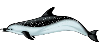 Dolphin Blue Swimming Stickdatei