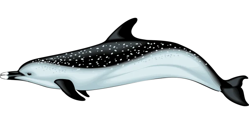 Dolphin Blue Swimming Stickdatei – Tiere