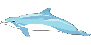 Dolphin Mammal Fins Stickdatei