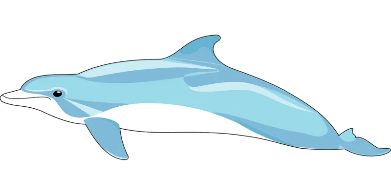 Dolphin Mammal Fins Stickdatei – Tiere