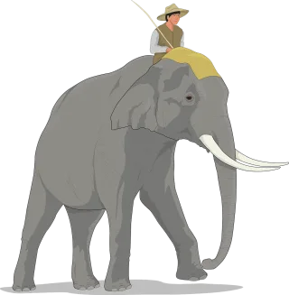 Elephant Walking Animal Stickdatei