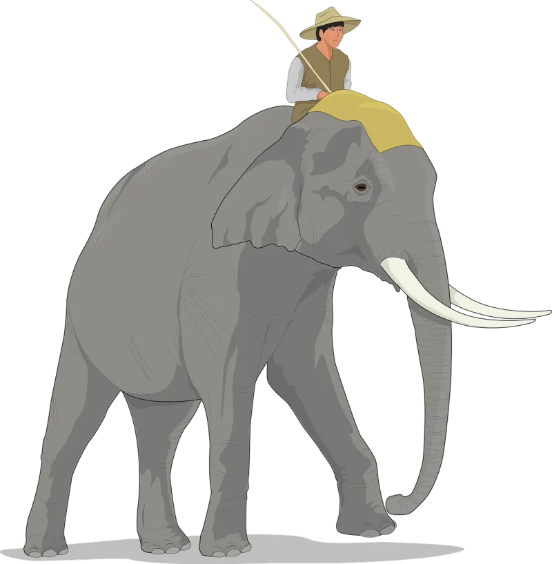 Elephant Walking Animal Stickdatei – Tiere
