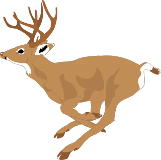 Deer Run Side Stickdatei