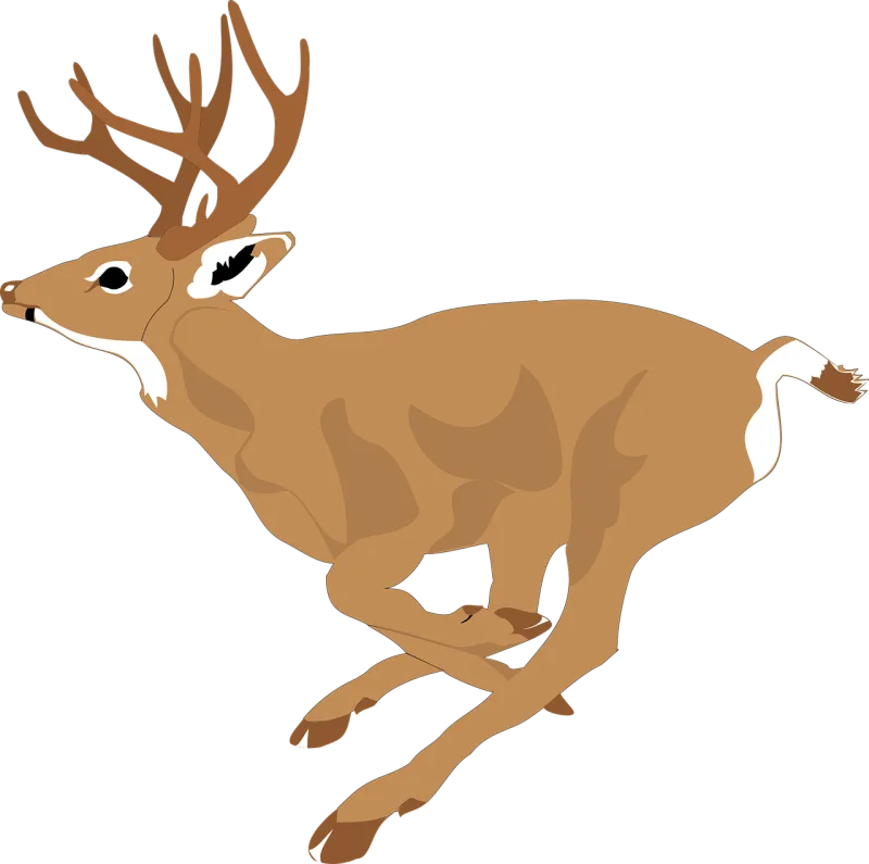 Deer Run Side Stickdatei – Sport
