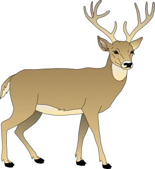 Deer Male Animal Stickdatei