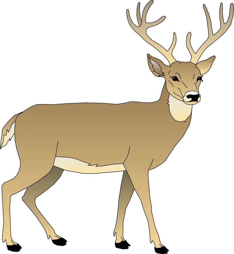 Deer Male Animal Stickdatei – Tiere