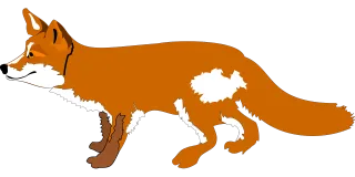 Fox Animal Wildlife Stickdatei