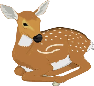 Deer Animal Mammal Stickdatei