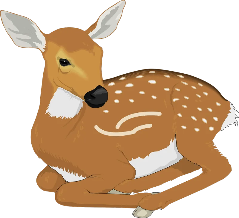 Deer Animal Mammal Stickdatei – Tiere