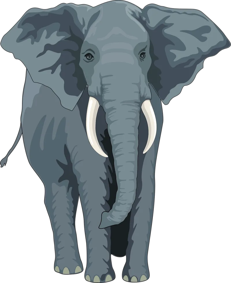 Elephant Animal Trunk Stickdatei – Tiere