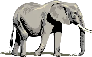 Elephant Animal Trunk Stickdatei