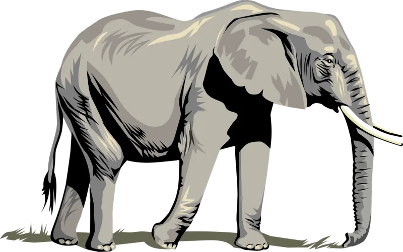Elephant Animal Trunk Stickdatei – Tiere